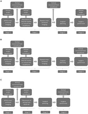 Comparison of stereotactic brain biopsy techniques in dogs: neuronavigation, 3D-printed guides, and neuronavigation with 3D-printed guides